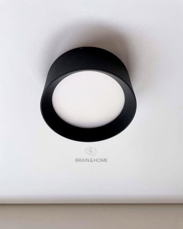 Brain & Home